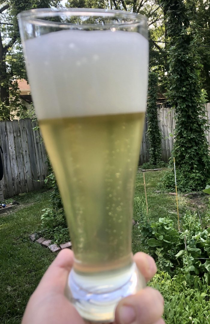 beer recipe photo