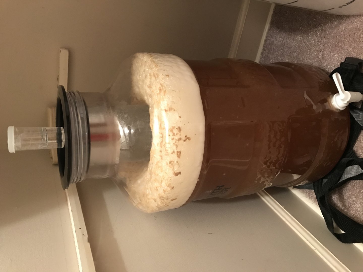 beer recipe photo