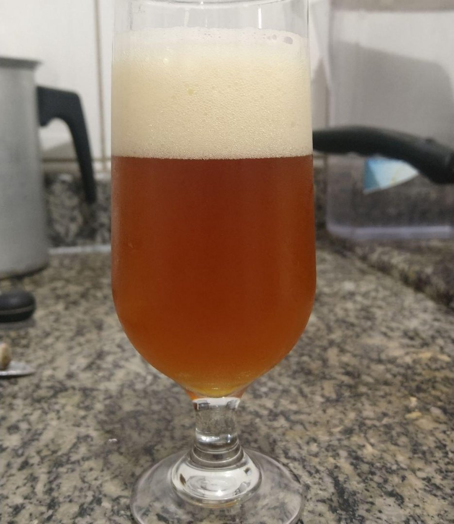 beer recipe photo