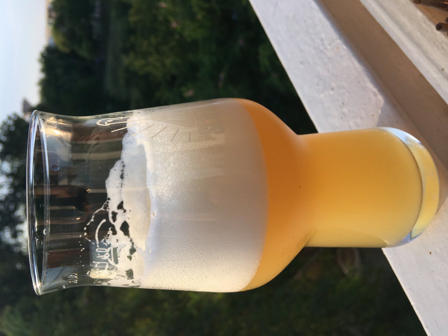 beer recipe photo