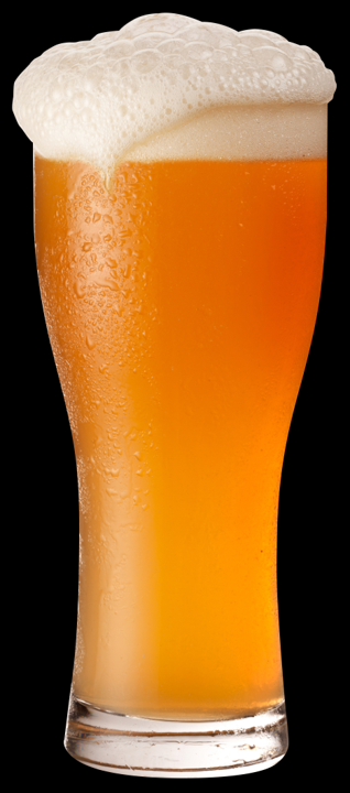 beer recipe photo