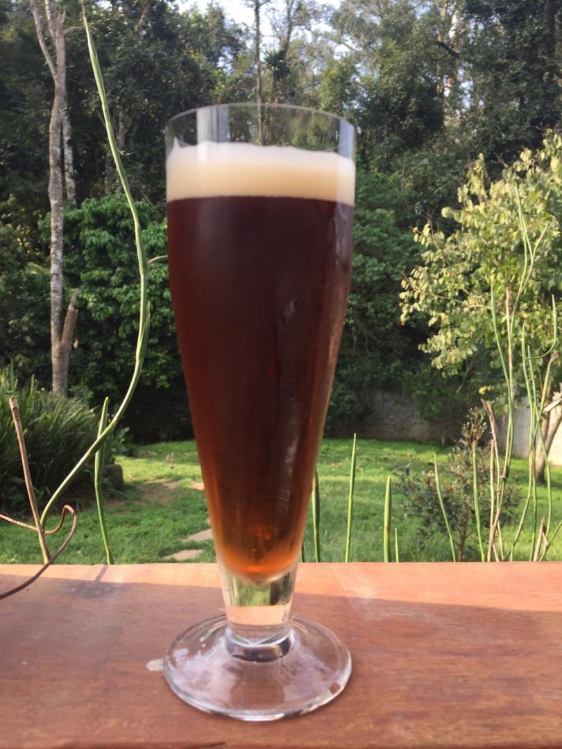 beer recipe photo