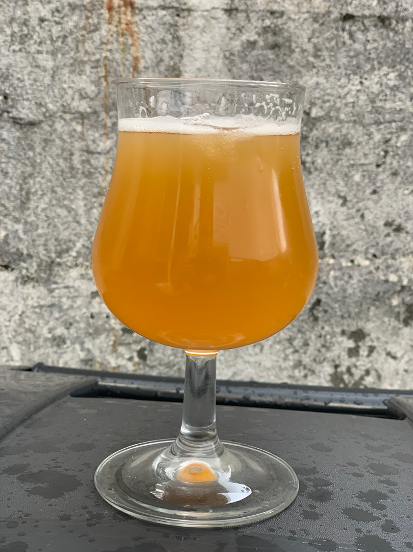 beer recipe photo