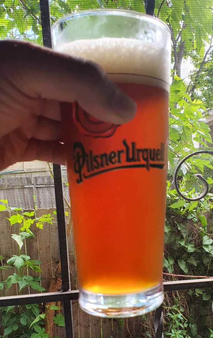 beer recipe photo