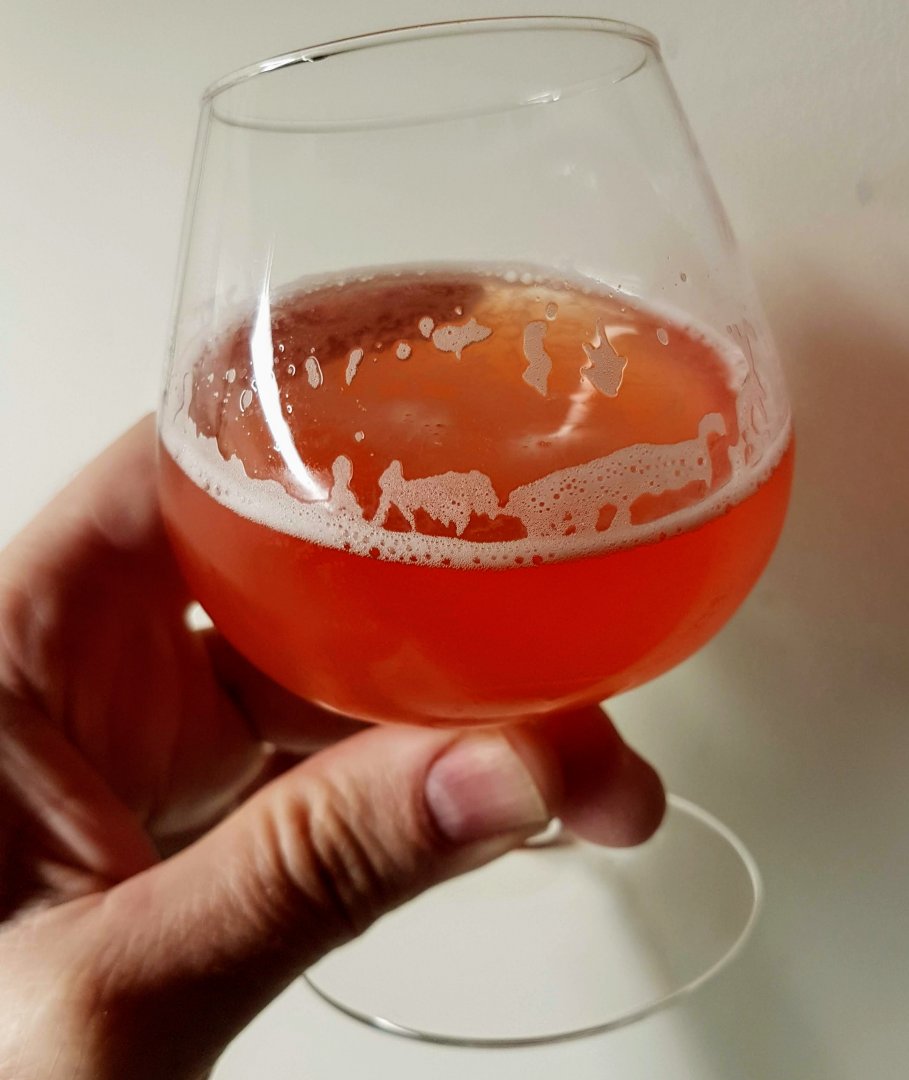 beer recipe photo