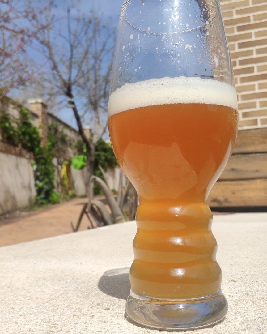 beer recipe photo