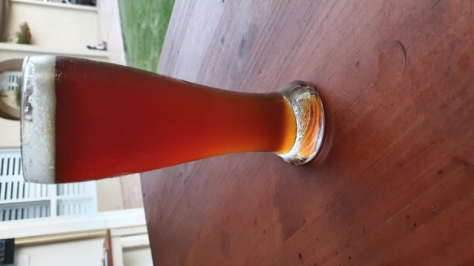 beer recipe photo