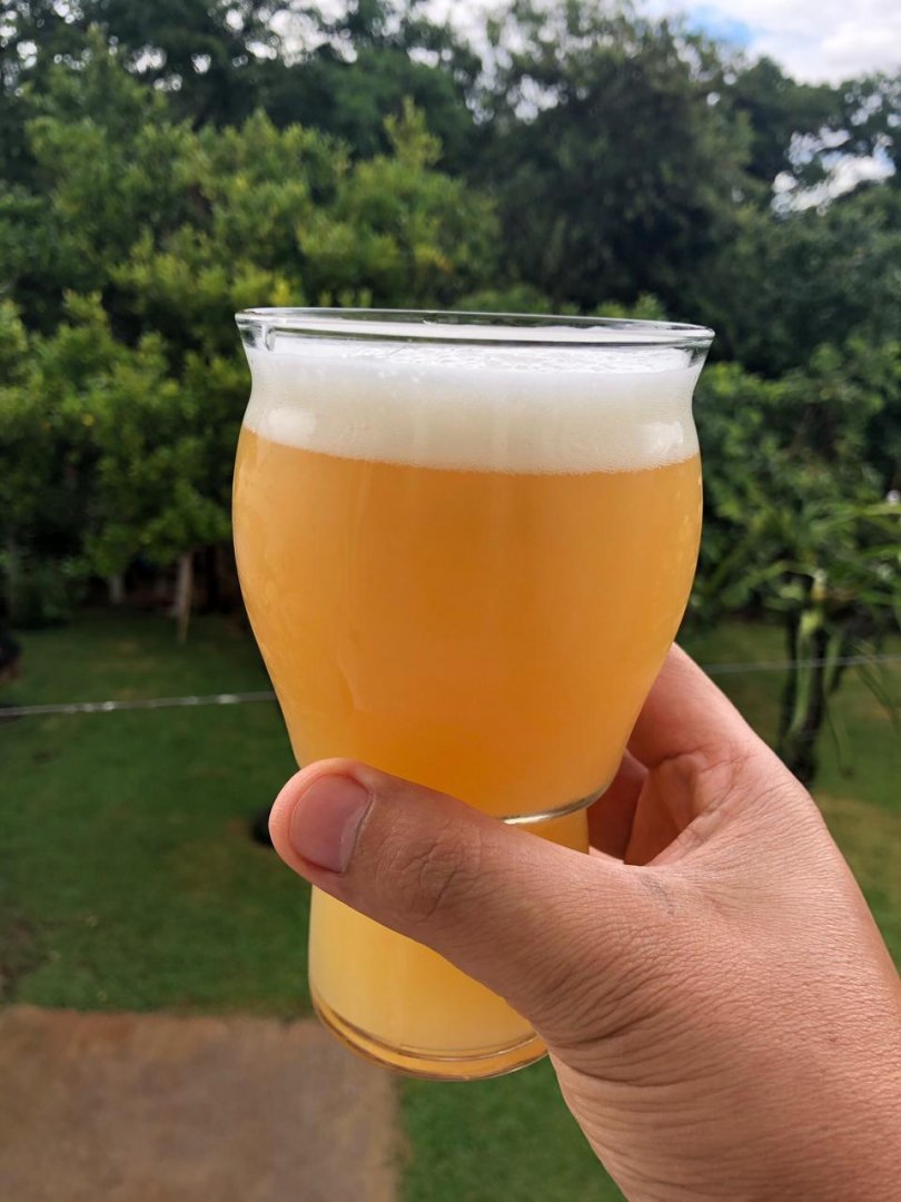 beer recipe photo