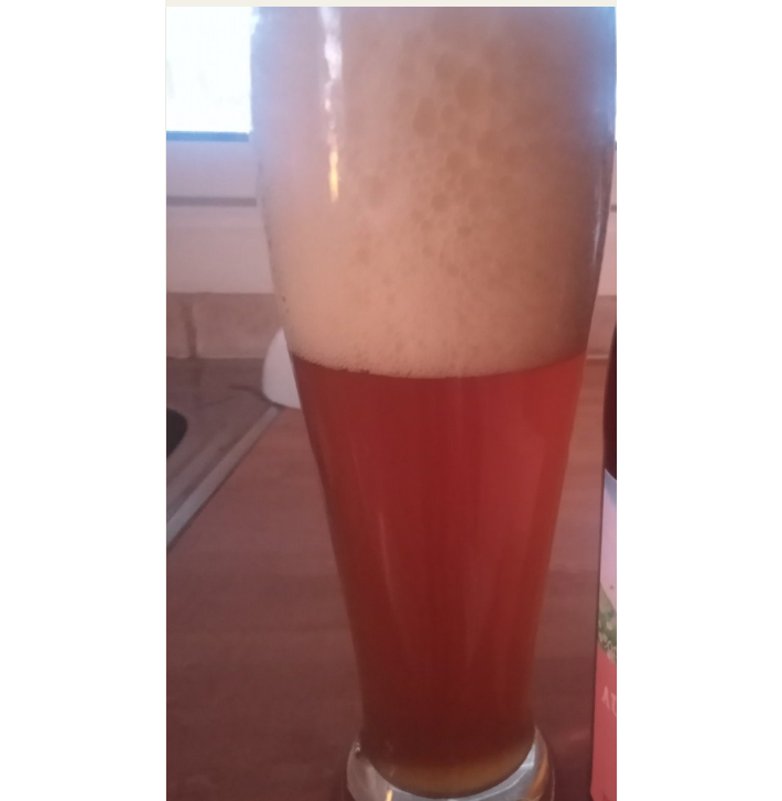 beer recipe photo