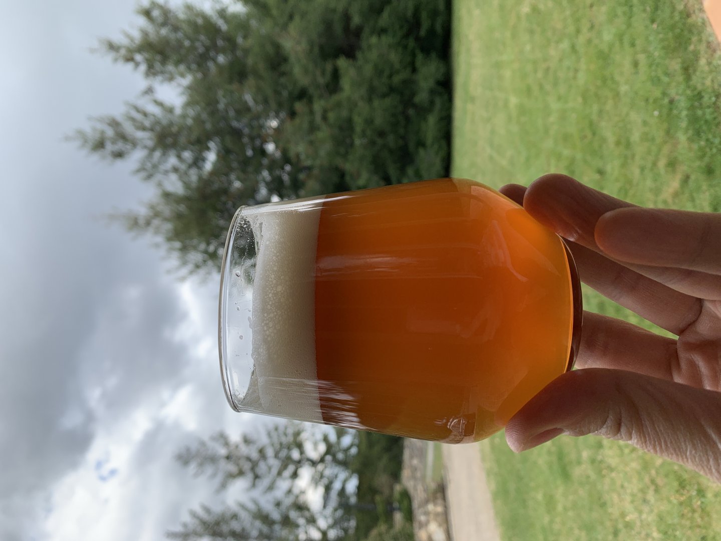 beer recipe photo