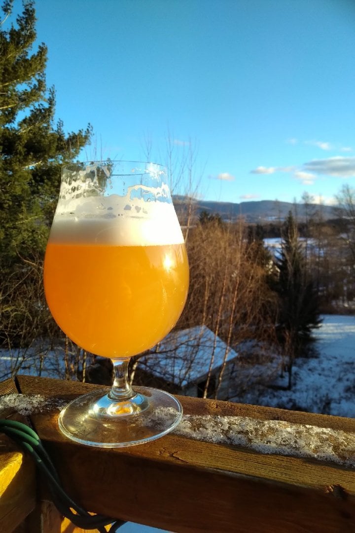 beer recipe photo