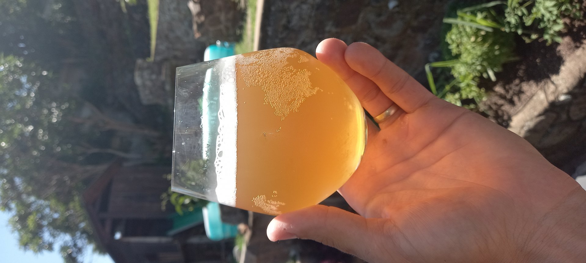 beer recipe photo