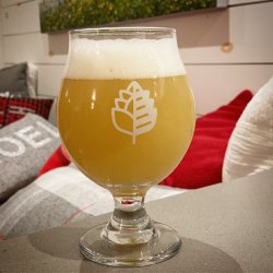 NEIPA-Sabro-Citra.jpg