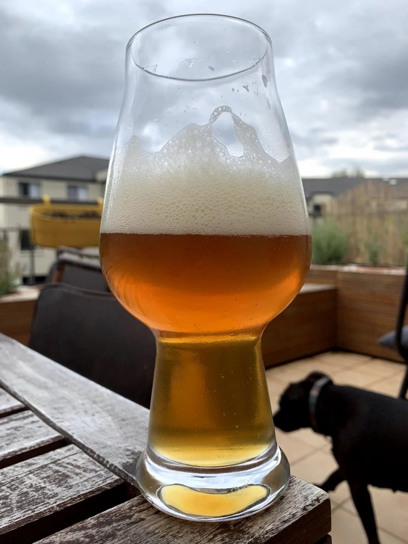 beer recipe photo