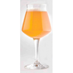 New-Abby-Trappist-Trippel.png