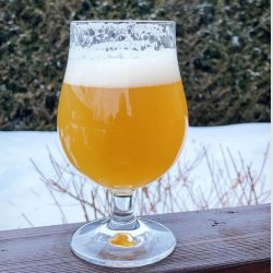 NEIPA---Citra--ekuanot-.jpg