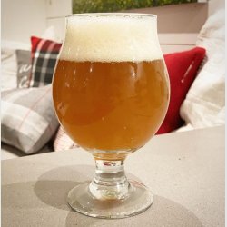 West-Coast-Vini-IPA.jpg