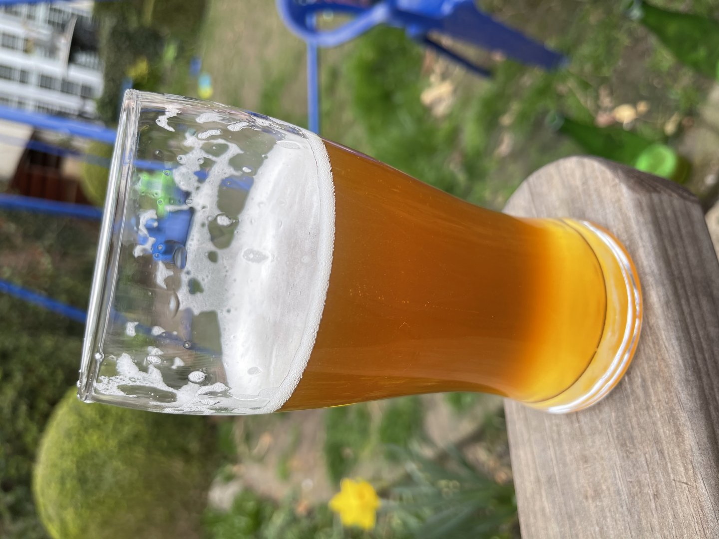 beer recipe photo