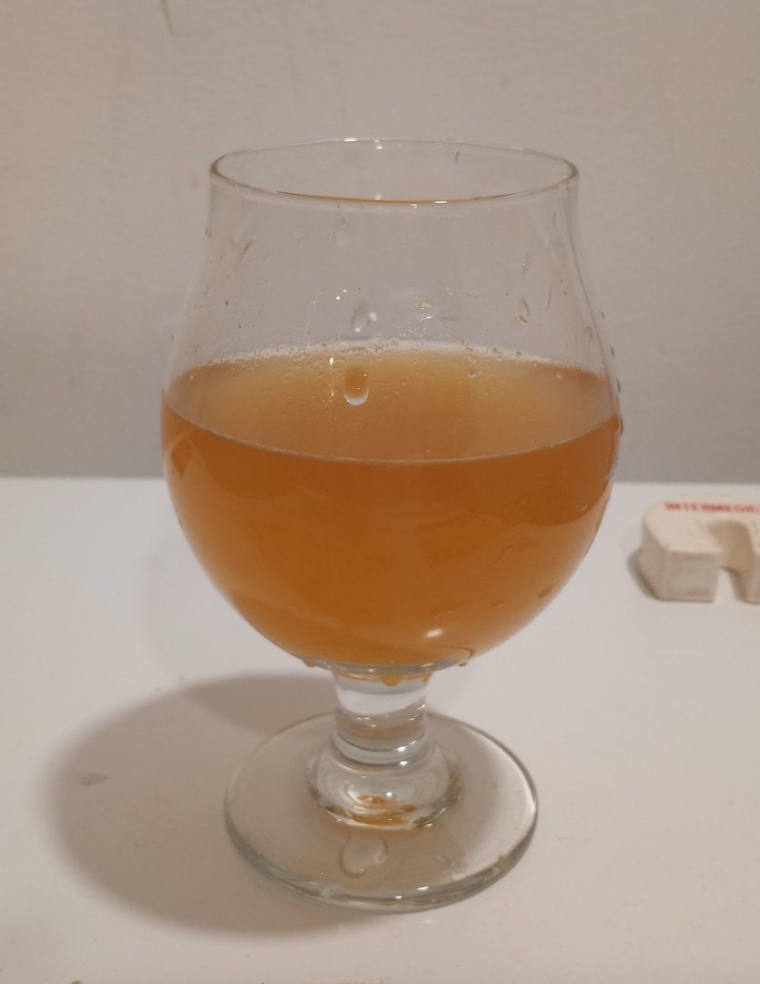 beer recipe photo