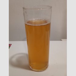 Kolsch-at-2ndary.jpg