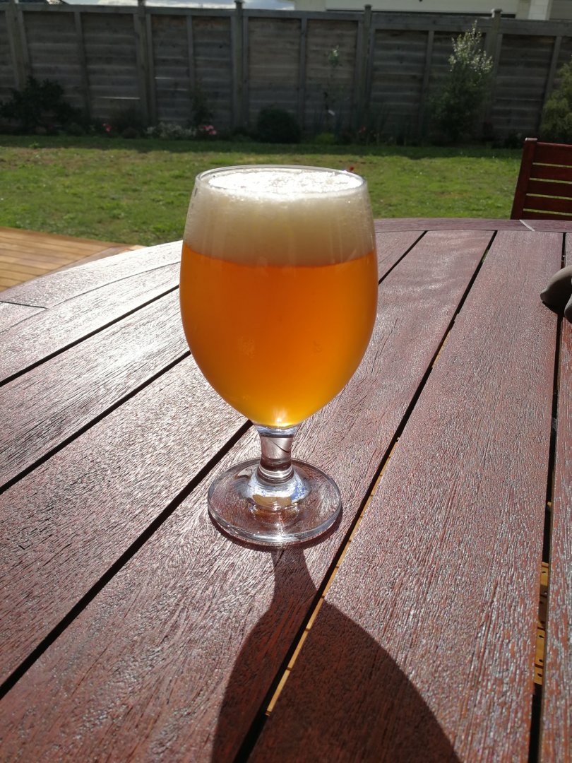 beer recipe photo