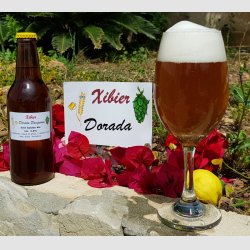 Xibier-Dorada.jpg