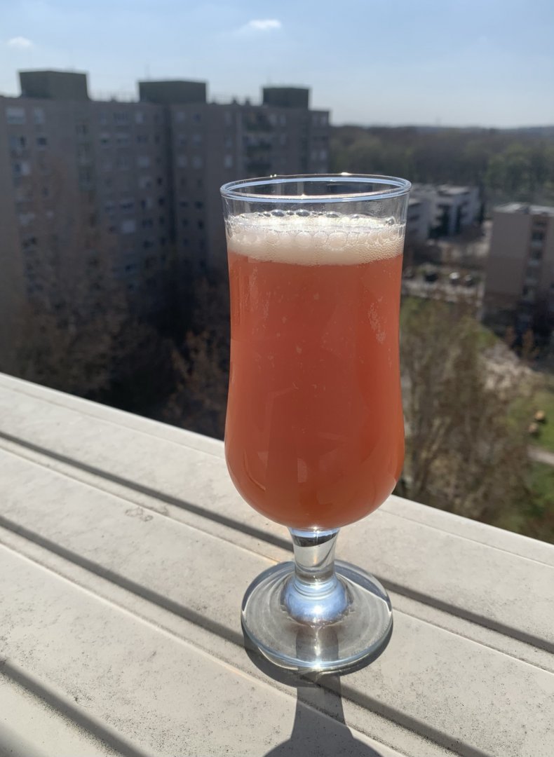 beer recipe photo