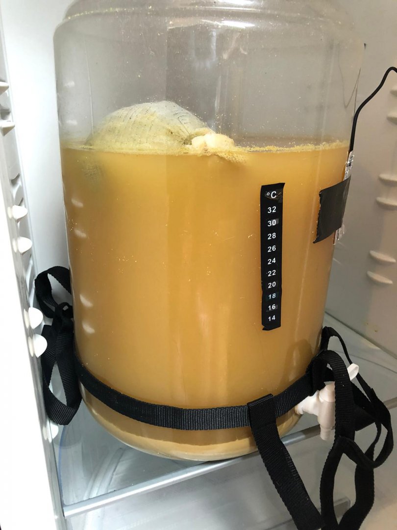 beer recipe photo