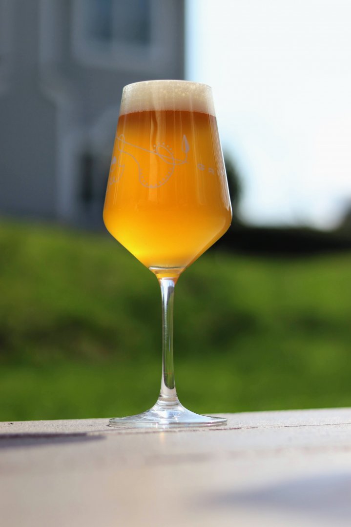 beer recipe photo