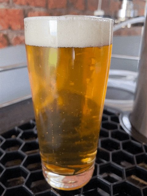 beer recipe photo