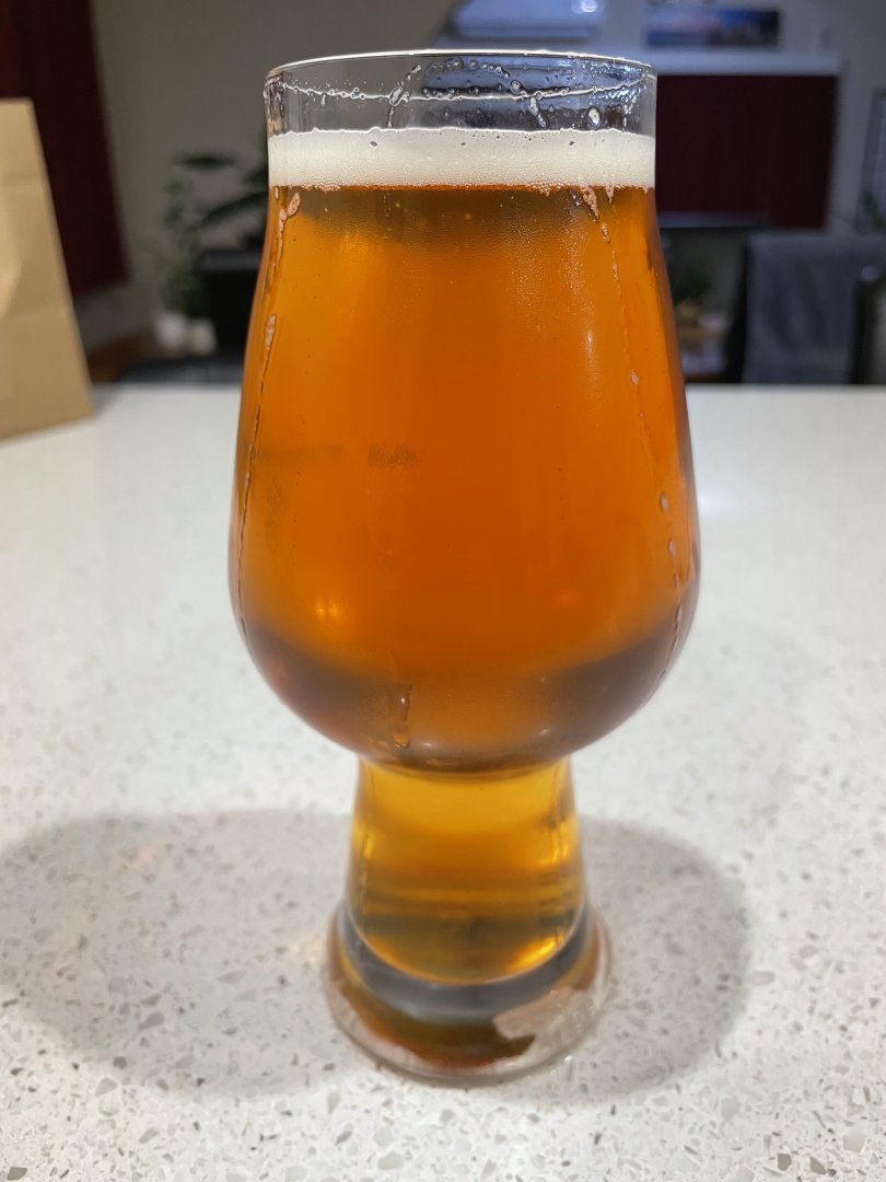 beer recipe photo