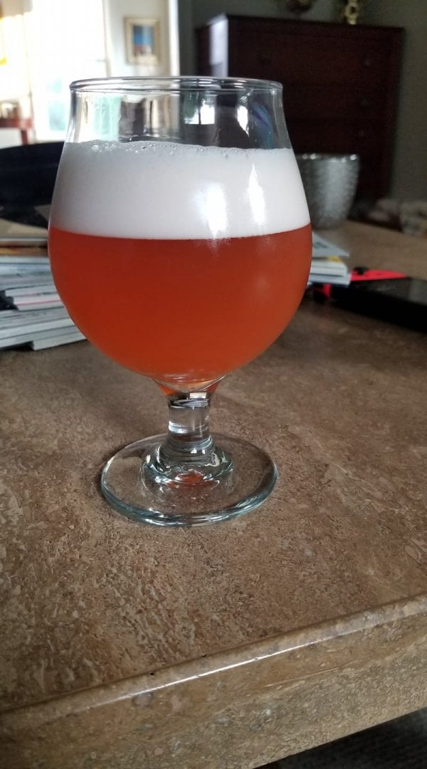 beer recipe photo