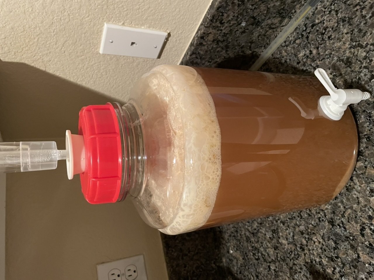 beer recipe photo