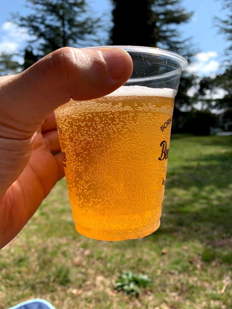 beer recipe photo