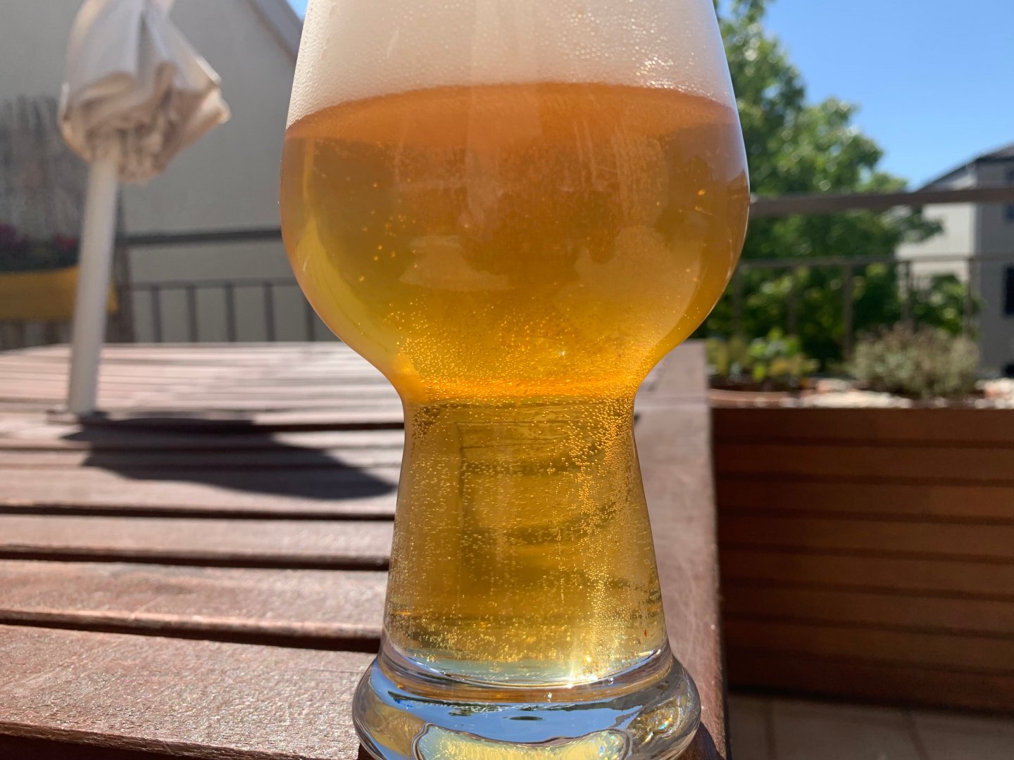 beer recipe photo