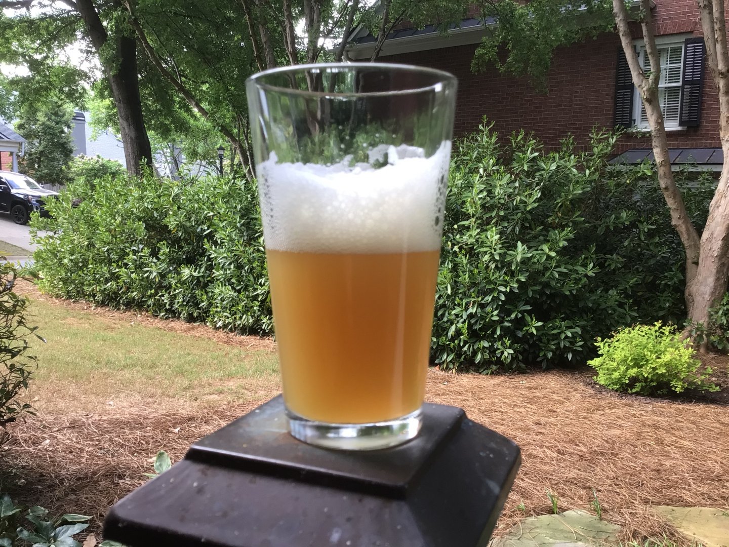 beer recipe photo