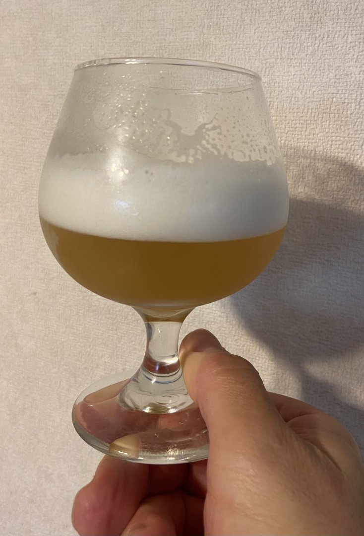 beer recipe photo