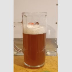 kOLSCH.jpg