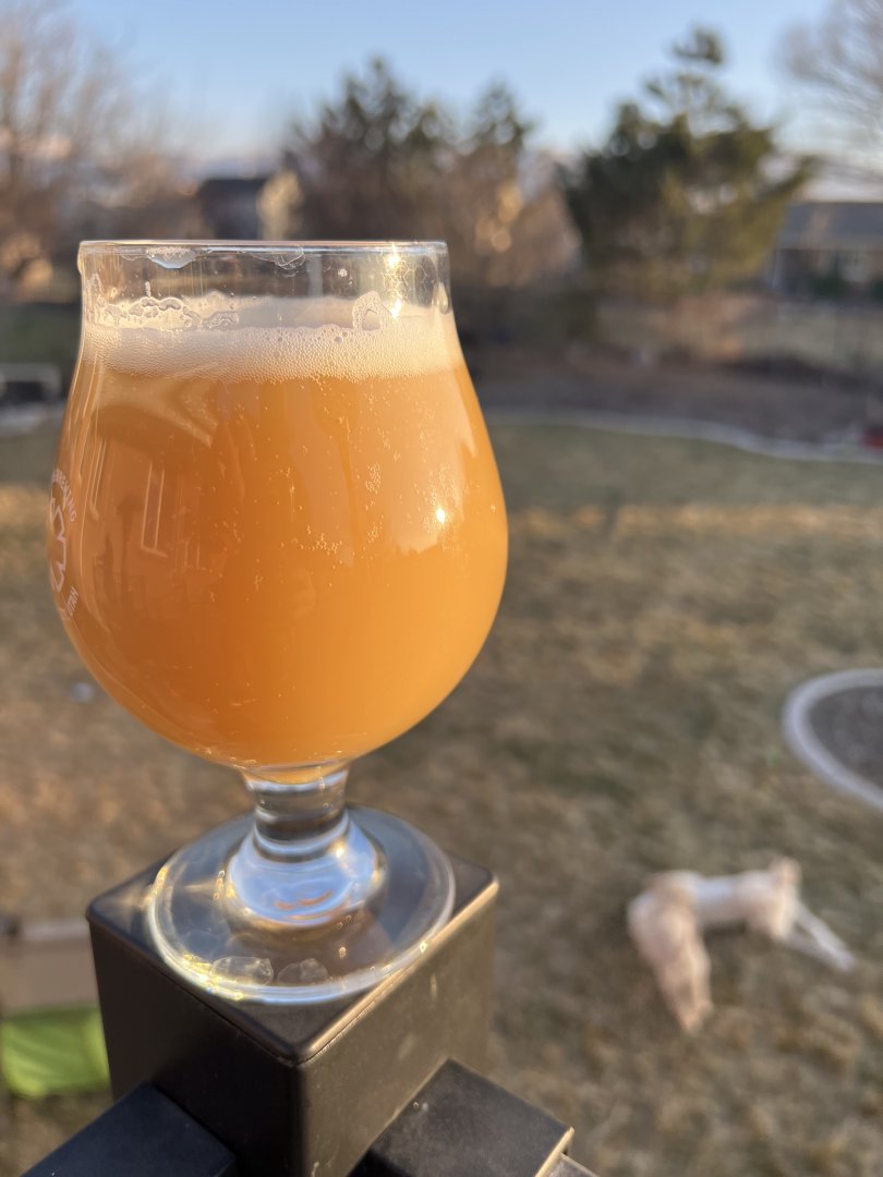 beer recipe photo