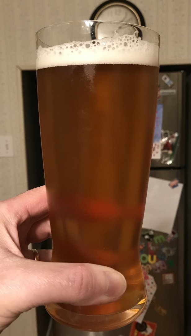 beer recipe photo