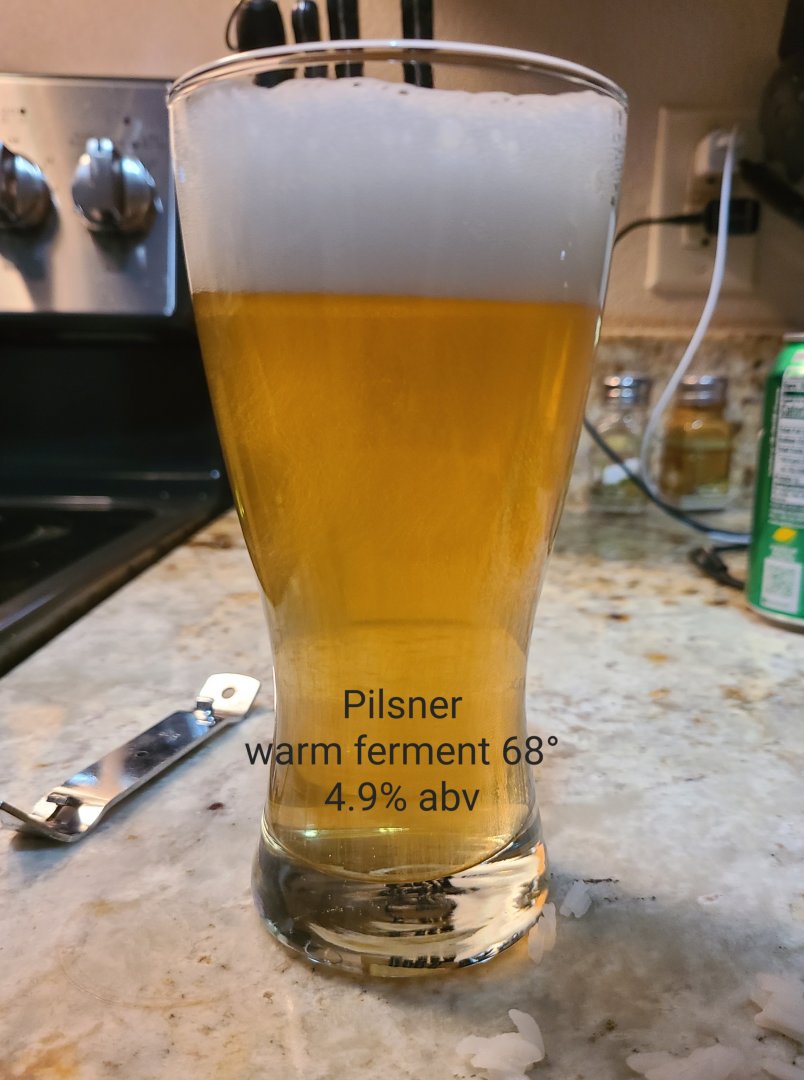 beer recipe photo