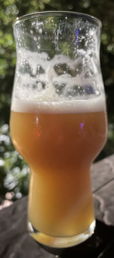 beer recipe photo