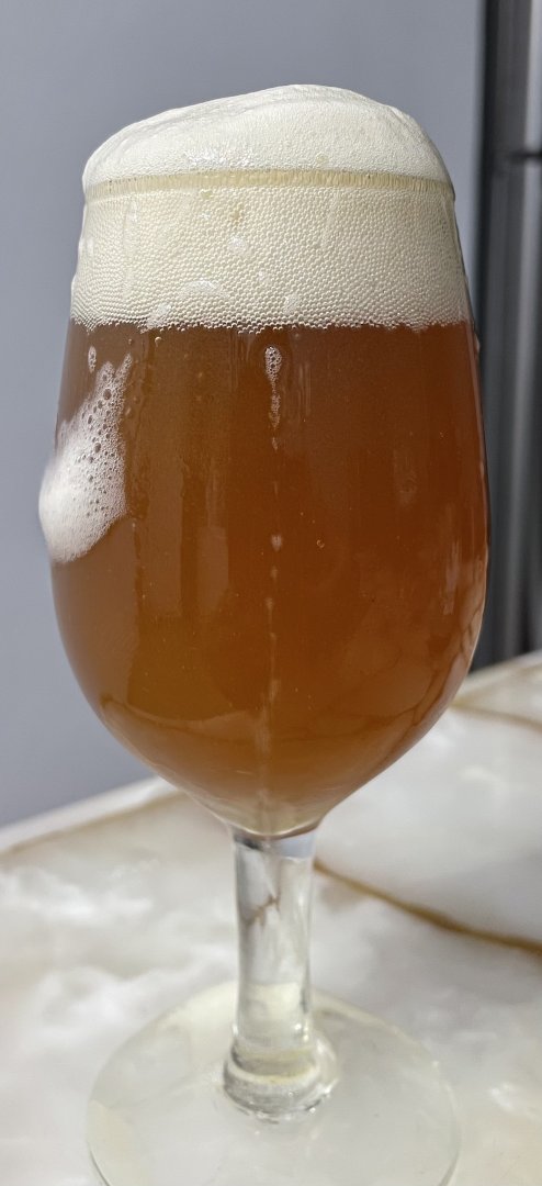 beer recipe photo