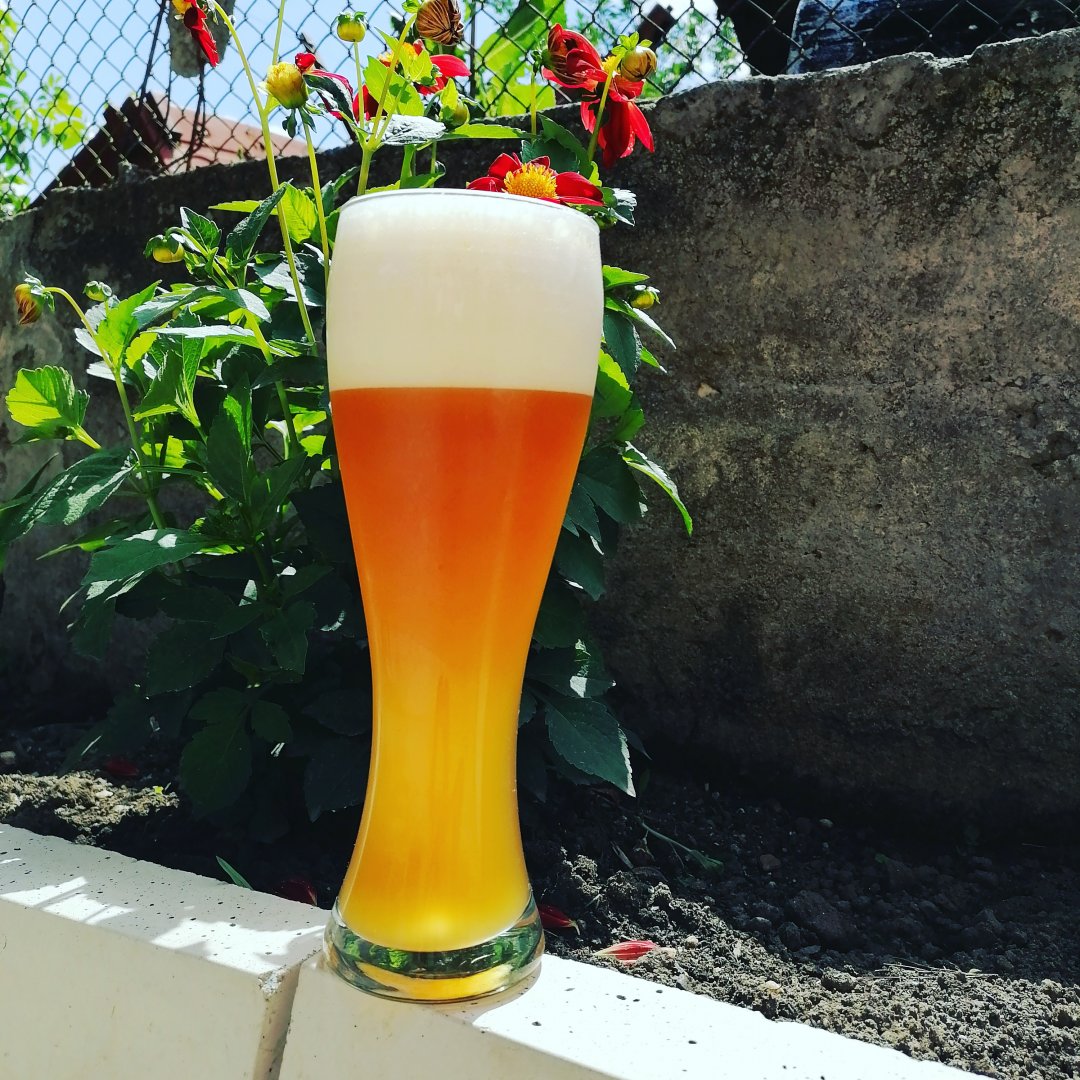 beer recipe photo