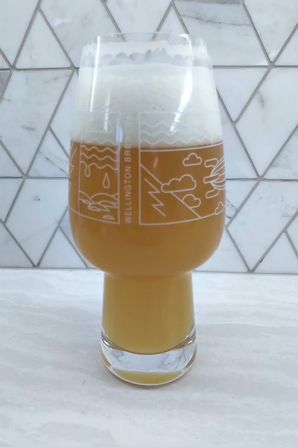 beer recipe photo