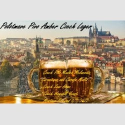 Polotmave-Pivo-CzechAmberLager-6.5x9.75.jpg