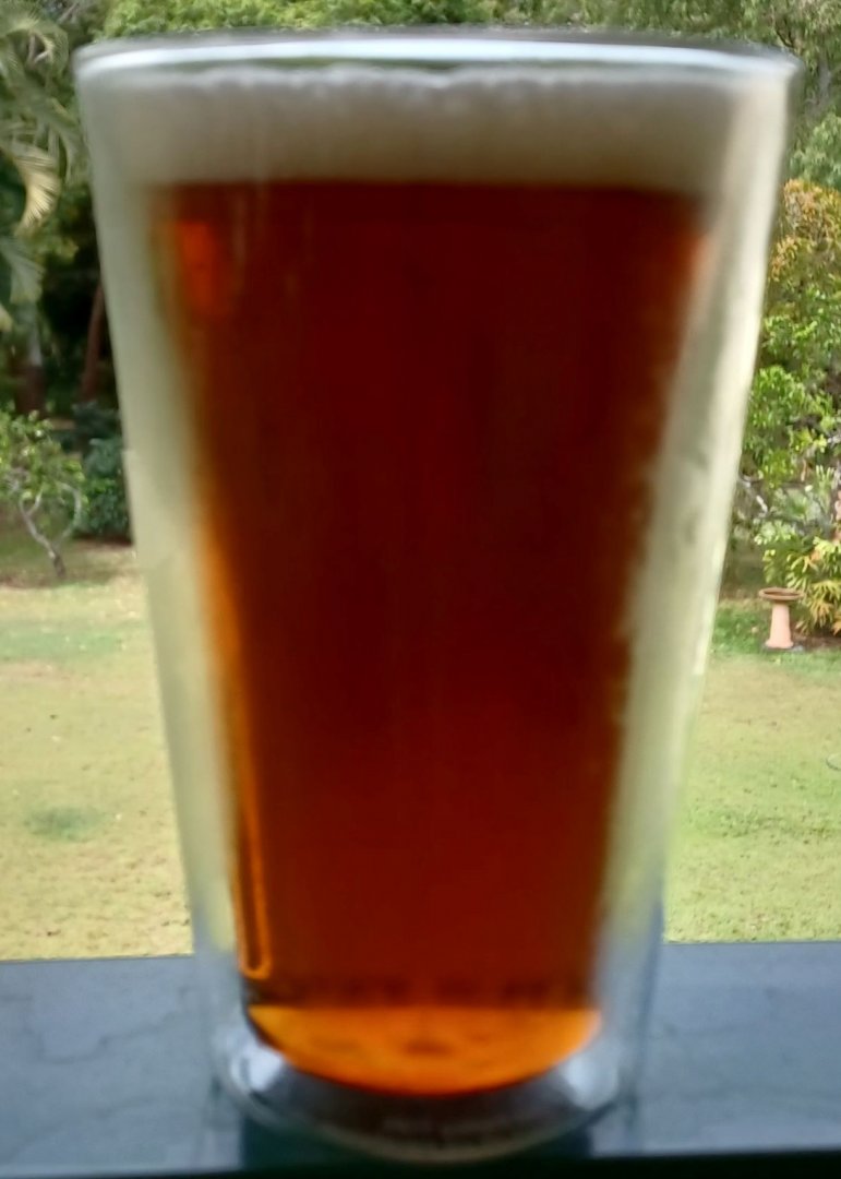 beer recipe photo