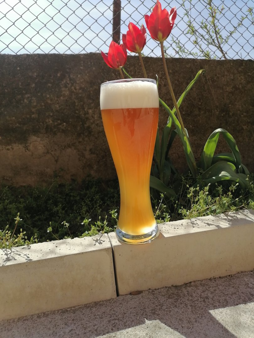 beer recipe photo