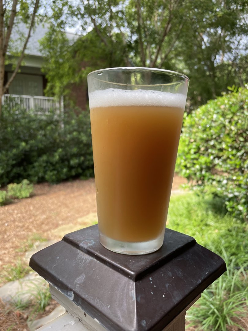 beer recipe photo