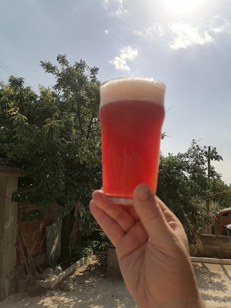 beer recipe photo